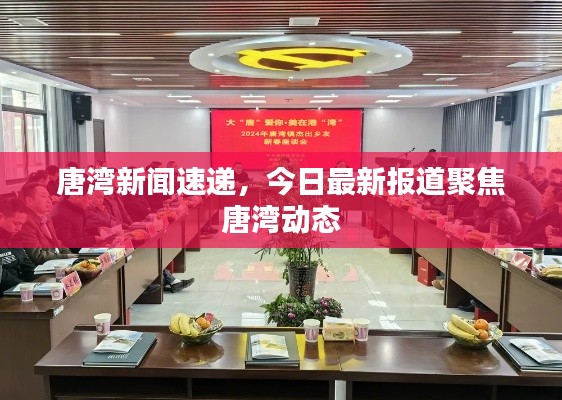 唐湾新闻速递,今日最新报道聚焦唐湾动态