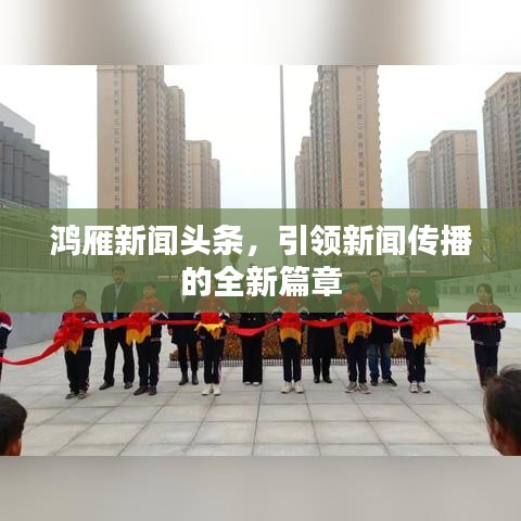 鸿雁新闻头条,引领新闻传播的全新篇章