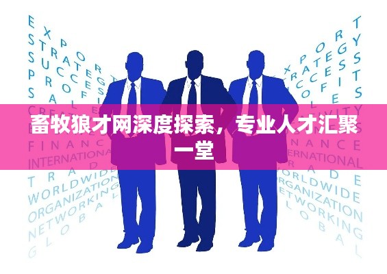 畜牧狼才网深度探索,专业人才汇聚一堂