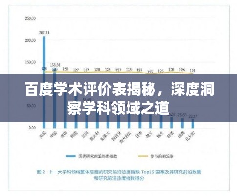 百度学术评价表揭秘,深度洞察学科领域之道