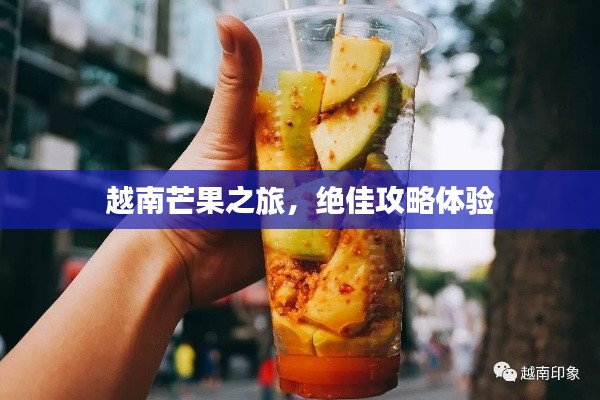 越南芒果之旅,绝佳攻略体验