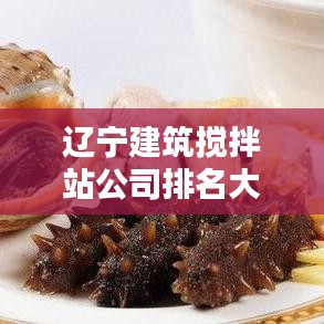 辽宁建筑搅拌站公司排名大揭秘!