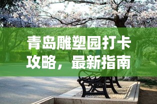 青岛雕塑园打卡攻略,最新指南带你畅游艺术空间