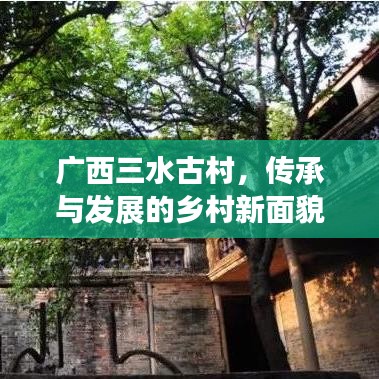广西三水古村,传承与发展的乡村新面貌亮相新闻头条