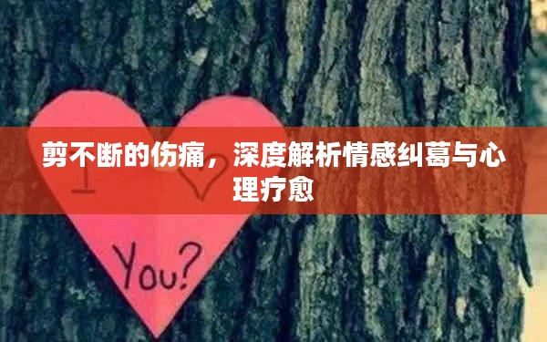 剪不断的伤痛,深度解析情感纠葛与心理疗愈