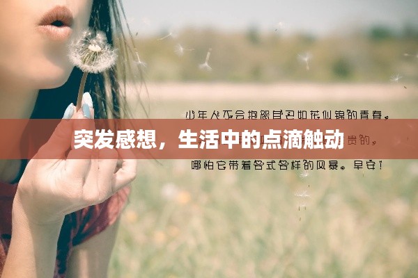 突发感想,生活中的点滴触动