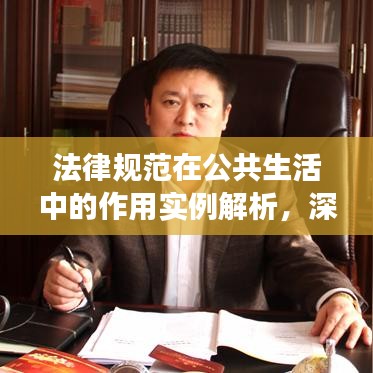 法律规范在公共生活中的作用实例解析,深度探讨与解读