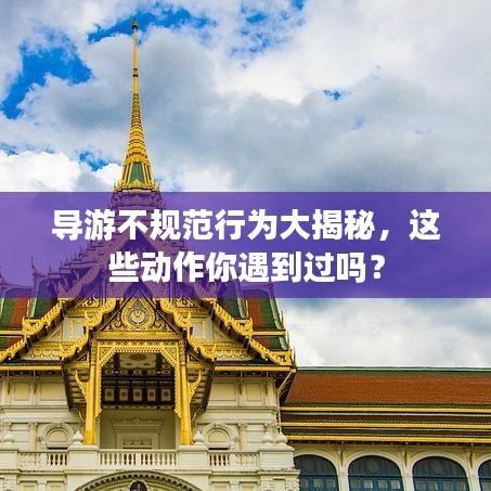 导游不规范行为大揭秘,这些动作你遇到过吗?