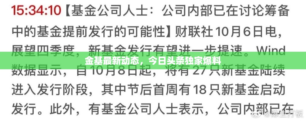 金基最新动态,今日头条独家爆料