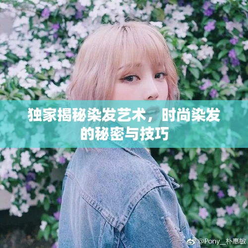 独家揭秘染发艺术,时尚染发的秘密与技巧
