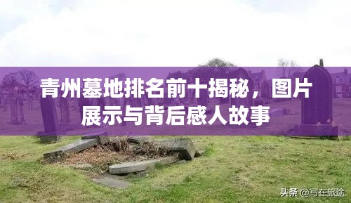 青州墓地排名前十揭秘,图片展示与背后感人故事