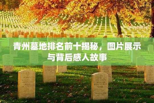 青州墓地排名前十揭秘,图片展示与背后感人故事