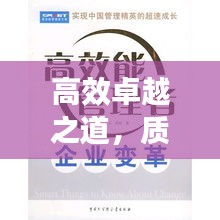 高效卓越之道,质量与效率的完美融合追求卓越之路