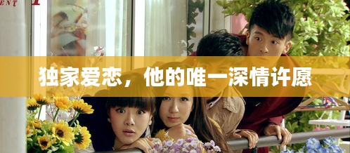 独家爱恋,他的唯一深情许愿