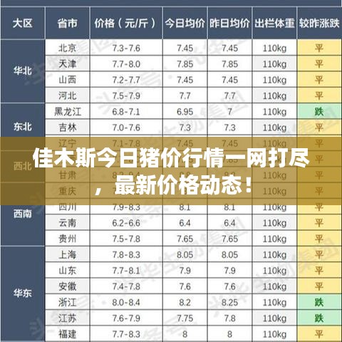 佳木斯今日猪价行情一网打尽,最新价格动态!