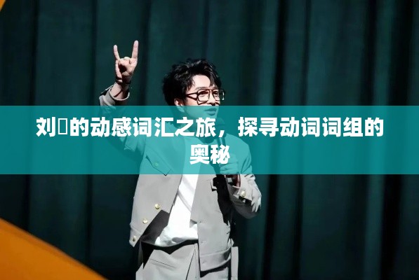 刘旸的动感词汇之旅,探寻动词词组的奥秘