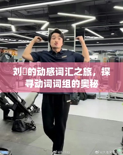刘旸的动感词汇之旅,探寻动词词组的奥秘