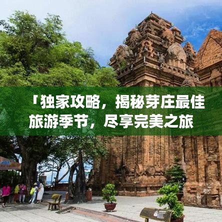 「独家攻略,揭秘芽庄最佳旅游季节,尽享完美之旅!」
