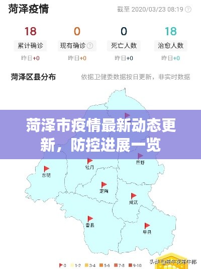 菏泽市疫情最新动态更新,防控进展一览