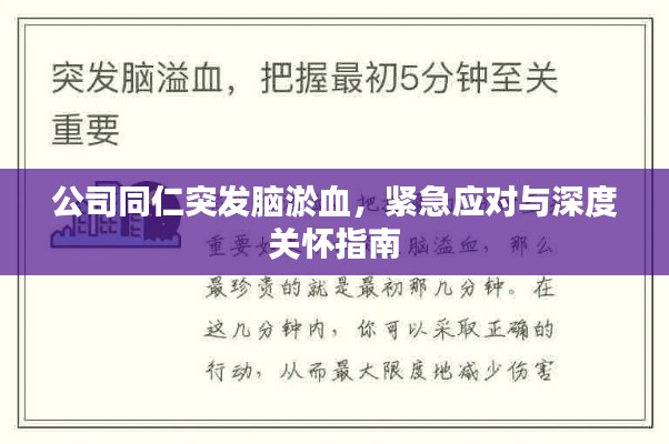 公司同仁突发脑淤血,紧急应对与深度关怀指南