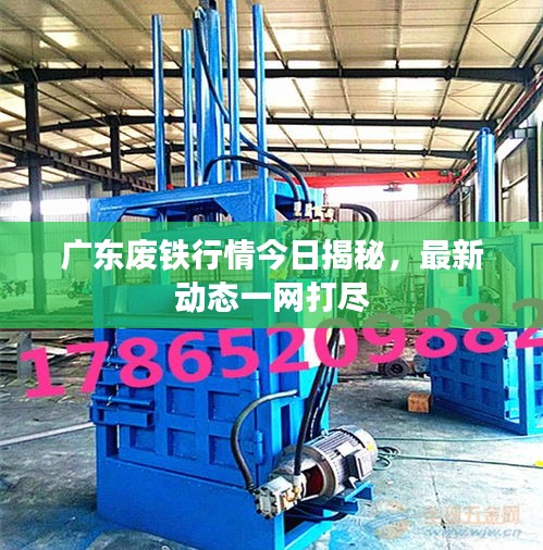 广东废铁行情今日揭秘,最新动态一网打尽