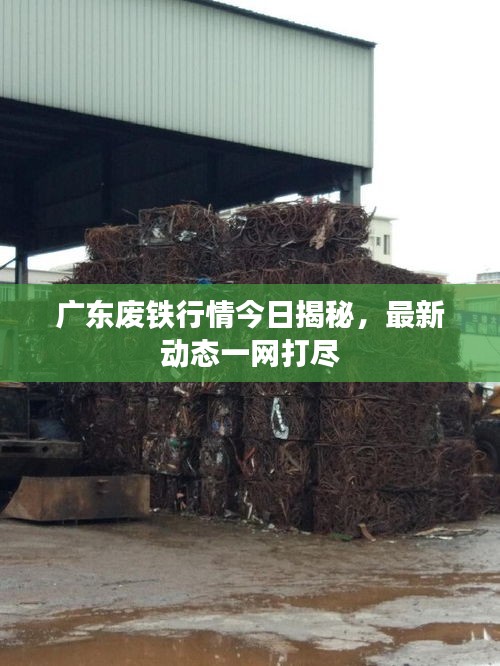 广东废铁行情今日揭秘,最新动态一网打尽