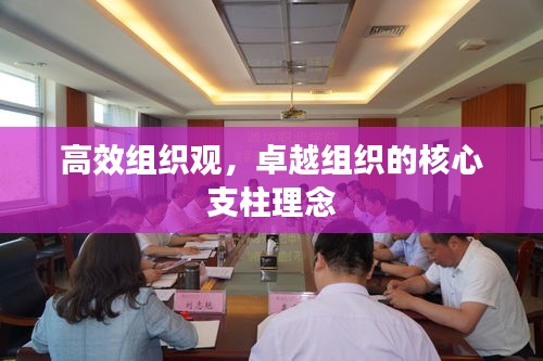 高效组织观,卓越组织的核心支柱理念