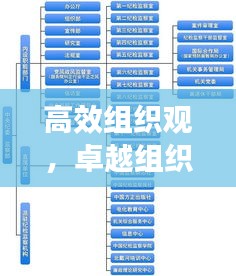 高效组织观,卓越组织的核心支柱理念