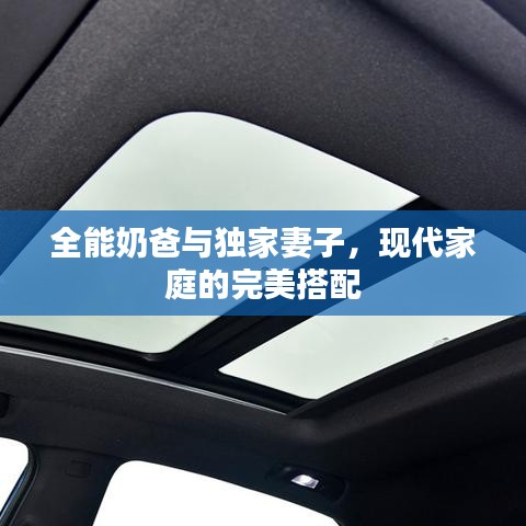 全能奶爸与独家妻子,现代家庭的完美搭配