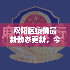 双阳区疫情最新动态更新,今日消息速递