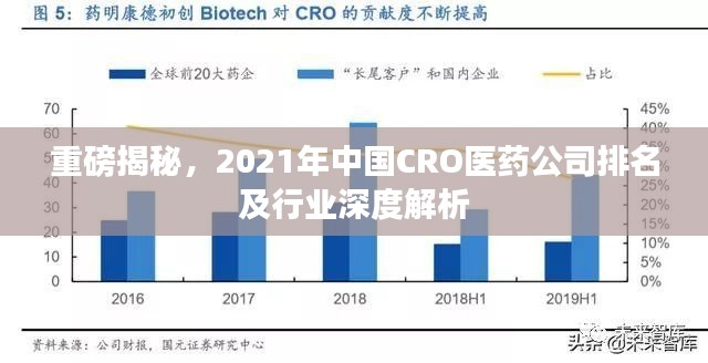 重磅揭秘,2021年中国CRO医药公司排名及行业深度解析