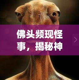 佛头频现怪事,揭秘神秘现象背后的奥秘