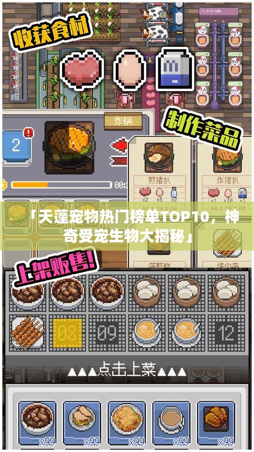 「天蓬宠物热门榜单TOP10,神奇受宠生物大揭秘」