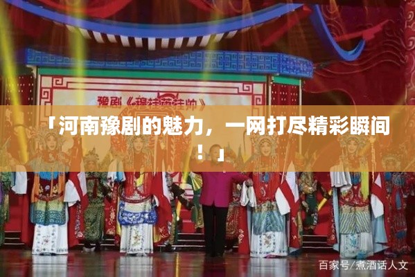 「河南豫剧的魅力,一网打尽精彩瞬间!」