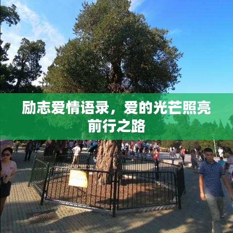 励志爱情语录,爱的光芒照亮前行之路