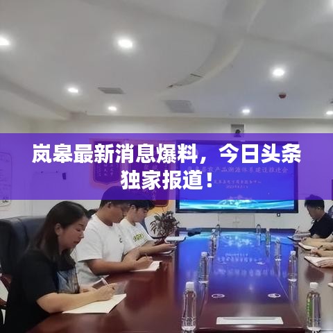 岚皋最新消息爆料,今日头条独家报道!