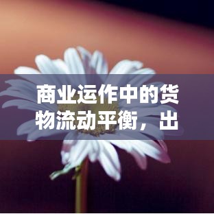 商业运作中的货物流动平衡,出货与回货的动态调控之道