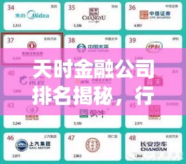 天时金融公司排名揭秘,行业领军者的成功秘诀!