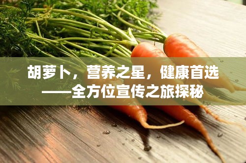 胡萝卜,营养之星,健康首选——全方位宣传之旅探秘