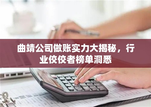 曲靖公司做账实力大揭秘,行业佼佼者榜单洞悉