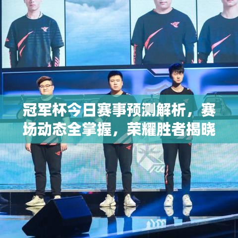 冠军杯今日赛事预测解析,赛场动态全掌握,荣耀胜者揭晓!