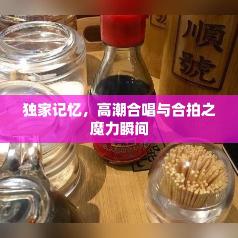 独家记忆,高潮合唱与合拍之魔力瞬间