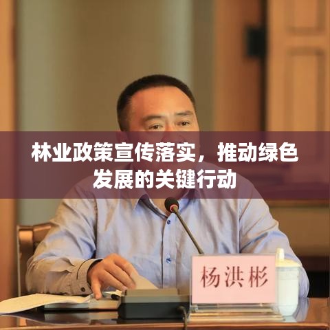 林业政策宣传落实,推动绿色发展的关键行动