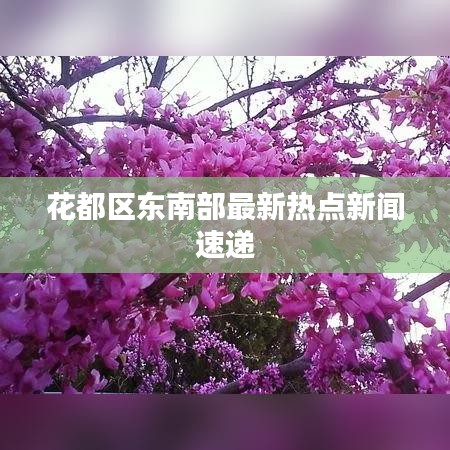 花都区东南部最新热点新闻速递