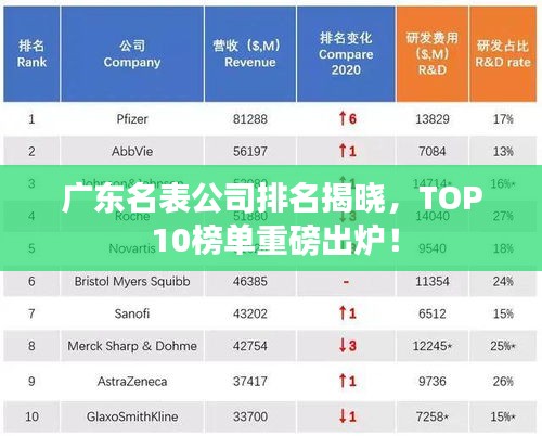 广东名表公司排名揭晓,TOP 10榜单重磅出炉!