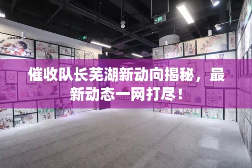 催收队长芜湖新动向揭秘,最新动态一网打尽!