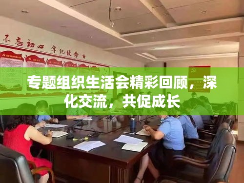 专题组织生活会精彩回顾,深化交流,共促成长