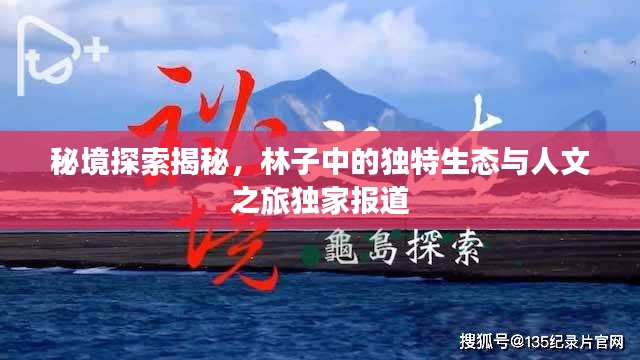 秘境探索揭秘,林子中的独特生态与人文之旅独家报道