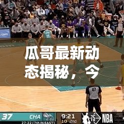 瓜哥最新动态揭秘,今日消息视频独家呈现!