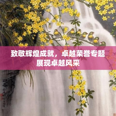 致敬辉煌成就,卓越荣誉专题展现卓越风采